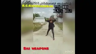 Masterpraying mantis kungfu #prayingmantis#kungfu #masterclass #heroic