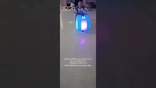 EPARK Luxury Luminous Prince Motorcycle，Bumper Car with fence, Outdoor And Indoor Car