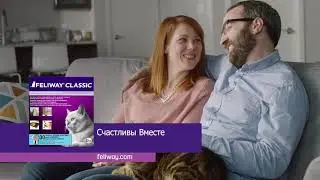 Феливей Диффузор для кошек и котов