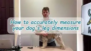 How to Measure Your Dog for a Wuvra Custom Brace | Complete Step-by-Step Guide