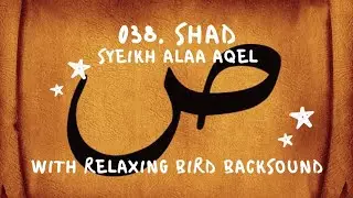 038. SHAD VOICE SYEIKH ALAA AQEL WITH RELAXING BIRDS BACKSOUND #alquran #juz23 #murotal