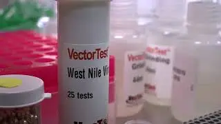 WNV FILE FOR eightWest 2018