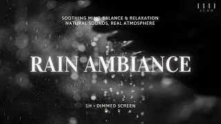 1 Hour Relaxing Rain Sound | Soothing Ambient for Sleep & Study | Black Screen | No Ads