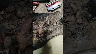 P3 carbon skid plate??