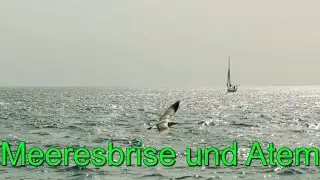 Meeresbrise und Atemger&auml;usche mit M&ouml;ve