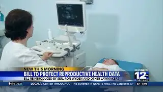 Bill reintroduced to protect reproductive health data