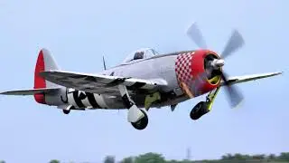 The Mighty P-47 Thunderbolt: America's Iconic WWII Fighter Plane #warbirds  #aviation