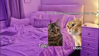 Смешные мемы с котами (Первый день в школе), часть 1