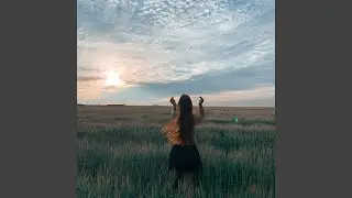 Чёрный ворон
