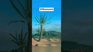 Доисторические растения, которые вымерли сегодня.. часть 2 🔥🔥 #шорты #вирусный тренд