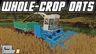 Oats Wouldn't Grow, So I Whole-Cropped Them! | Somerset Farms | Farming Simulator 19