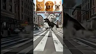 Dog & Cat React. Will the T-Rex Destroy the City? One Wrong Move and ROAR! #trexattack #citychaos