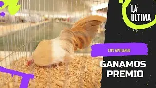 Ganamos un premio Expo Zapotlanejo