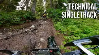 No Passport Required | Cruising some technical single track 