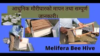 आधुनिक मौरीघारको मापन तथा सम्पूर्ण जानकारी।Measurement of modern beehive | Arjun best honey.