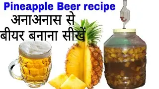 बीयर बनाना सीखें अनाअनास का। Pineapple Beer make at home. Wine & Food recipes