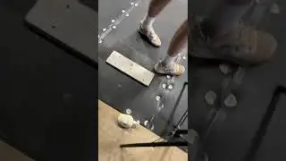 CUTTERNATION is live!