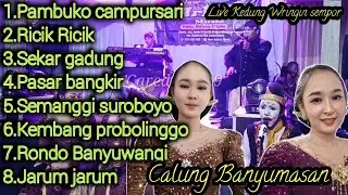 Calung banyumasan||full bass||New arista musik||Kedung wringin sempor#calungbanyumasan 
