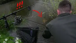On p&ecirc;che la CARPE dans un BRAS MORT [GROSSE SURPRISE]