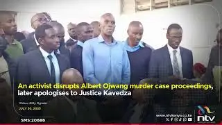 An activist disrupts Albert Ojwang murder case proceedings, later apologises to Justice Kavedza