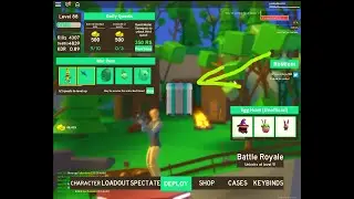 1 very good Code for Strucid  (Diamond Case)