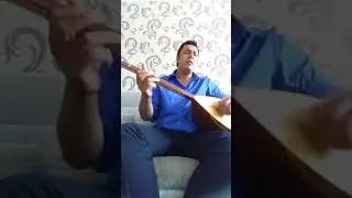 Geylan şirnani almanya