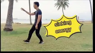 Wing Chun's sensitivity training (Dap Sao Flow exercise)
