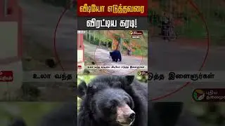 வீடியோ எடுத்தவரை விரட்டிய கரடி | Nilgiri | Ooty
