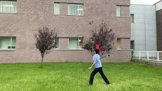 Ornithopter Flight Test