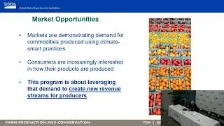 How U.S. agriculture and forestry can reduce over half a billion metric tons of climate pollution