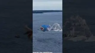 ШИН СОНИК ЕДИТ КОРАБЛЬ В МОРЕ