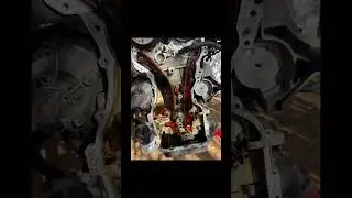 Genesis 1700$ Сново хлам