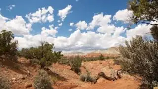 John Denver: Wooden Indian