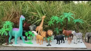 💦🐘 Mud Friends! Animals Get Muddy, Clean Up & Learn  Educational Video for Kids