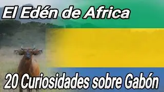 &iexcl;Descubre el Ed&eacute;n de &Aacute;frica: 20 Sorprendentes Curiosidades sobre Gab&oacute;n! 🇬🇦🐘