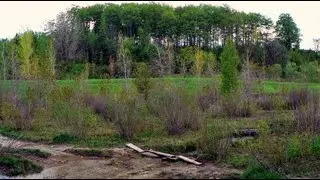 Blue Spring Woods Spring Renewal, Kitchener Canada