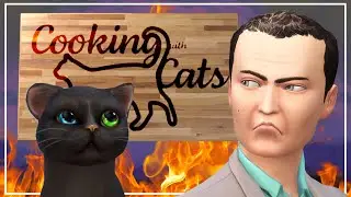Cooking with Cats Basil's NEW Hit Reality Show
