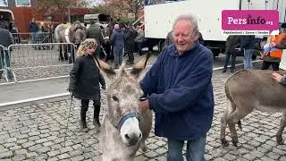 23 11 lennik 75e jaarmarkt