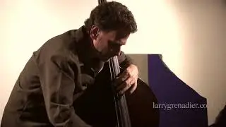 Larry Grenadier - Vineland (live)
