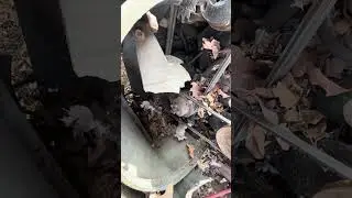 61 Buick Lesabre Worth Saving?? 