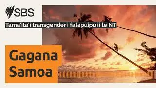 Tama'ita'i transgender i falepuipui i le NT | SBS Samoan - SBS Samoan