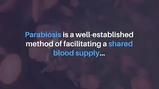 Heterochronic Parabiosis, Cellular Senescence and Aging | Aging-US