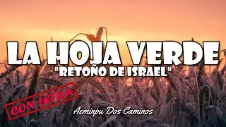 🔥AEMINPU - LA HOJA VERDE (Con Letra)🌈RETO&Ntilde;O DE ISRAEL💥HIMNOS CELESTIALES