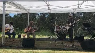 The Mats - Old Black Man - Matt Williamson:songwriter Matt Hale:lead guitar Paul Macilwraith: bass