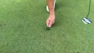 CNGC - Be a Green Saver: The Right Way to Fix Ball Marks on the Course