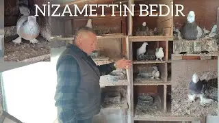 NİZAMETTİN BEDİR VE OYUN KUŞLARI