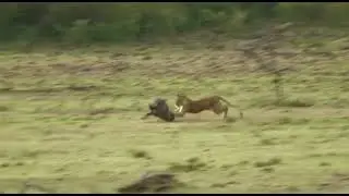 Spot of the Week @KichecheCamps 'Game On'