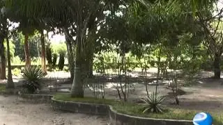 JOVENS USAM LABORTERAPIA COMO TRATAMENTO ANTIDROGAS