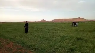 مزرعة بن حمودة