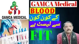 Gamca Medical Blood k kon kon sa Test me Unfit nhi kerta | Sugar Test, CBC, Kidney & ESR Test/2025 .